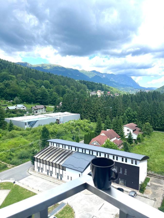 Best View Ap With Parking And 2 Bathrooms Sinaia Kültér fotó